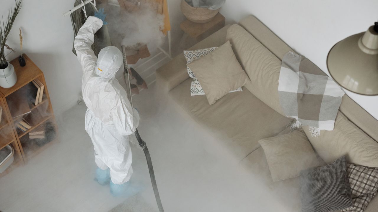 Técnico de controlo de pragas a aplicar tratamento numa cozinha profissional em Lisboa