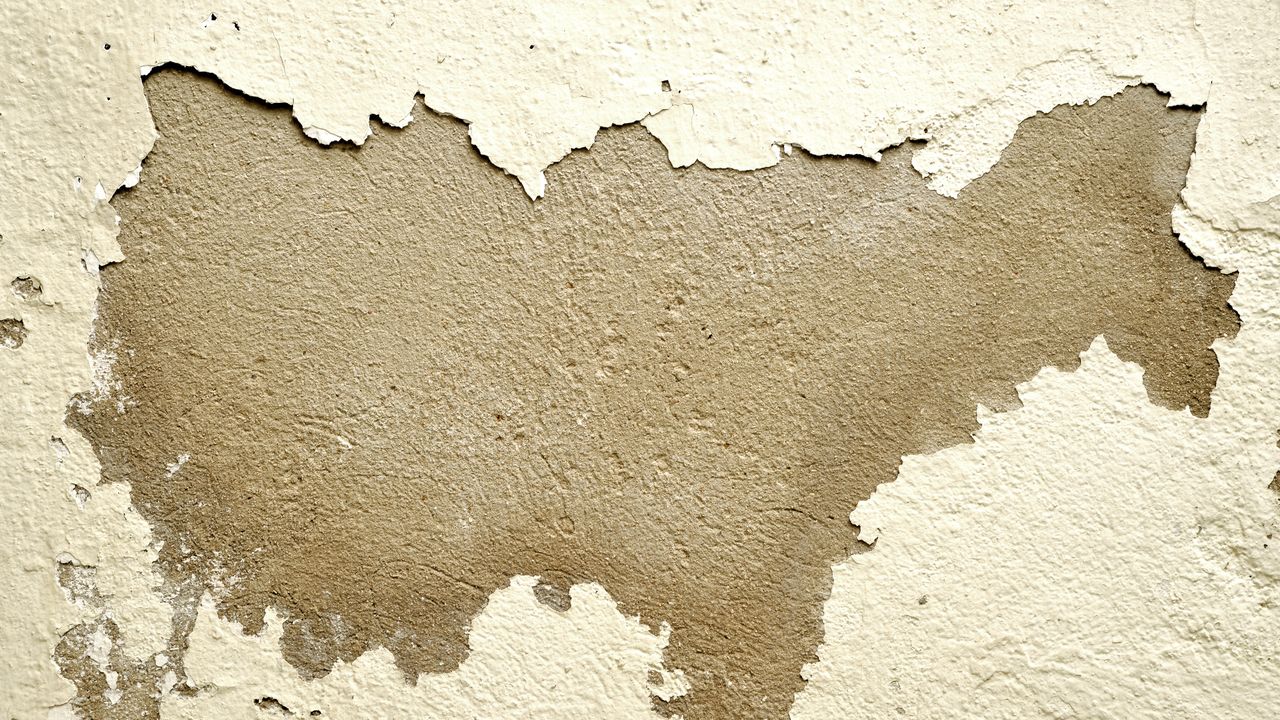 Técnico de empresa de restauro a secar e recuperar uma divisão com danos de água em Lisboa